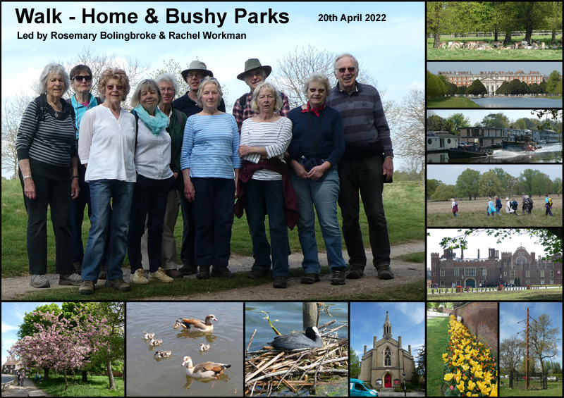 Walk - Home and Bushy Parks - 20th April 2022